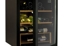 Холодильник шкаф для вина DW 102-Bravo тст