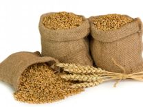 Пшеница кормовая в мешках (зерно)