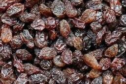 Raisins, premium, Afghanistan