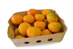 Tray for tangerine