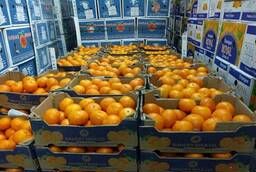 Mandarins imported