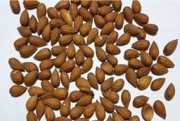 High peeled almonds grade, Uzbekistan