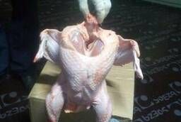 Turkey meat