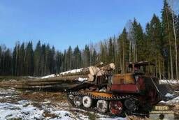 Окажем услуги по лесозаготовки в красноярском крае