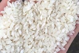 Rice Rapan TU 20% fraction
