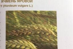 Семена яровой пшеницы ярового ячменя, овес голозерный