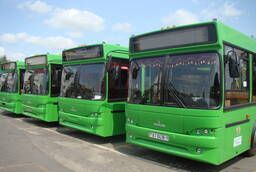 Spare parts for maz buses and trolley buses trolza