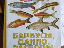 Брошюра о рыбах Барбусы, данио, расборы и др