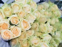 Цветы оптом Питерские розы прямые поставки из тепл