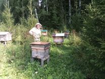 Свежий мед 2021 года, прополис и др. продукты пчел