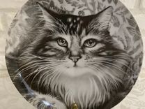 Котята кошки коты тарелки фарфор Royal Doulton