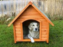 Будка домик конура для собаки