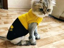 Вязаные свитера для сфинкса и других кошек