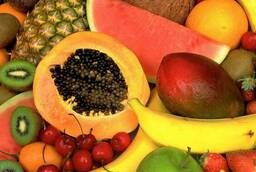Exotic Fruits from Vietnam Wholesale