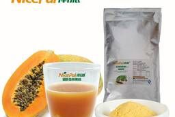 Halal Certified Papaya Juice Powder