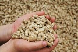 Compound feeds and premixes in Russia