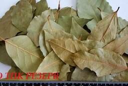 Naturally dried bay leaves