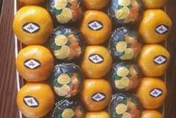 Tangerine Satsuma