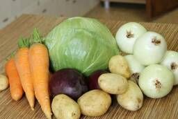Carrots, cabbage, beets, potatoes.