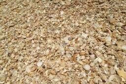 Sea feed shell for birds and chickens