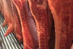 Wholesale pork meat in half carcasses of the 2nd category chilled  frozen