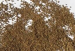 Alfalfa seeds changeable