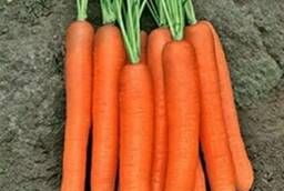 Семена моркови Кинг 2-Флам уп 1кг Hazera