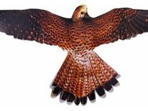 Хищник-3 визуальный отпугиватель птиц