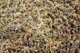 Star anise solid color Vietnam wholesale (order conditions in the description