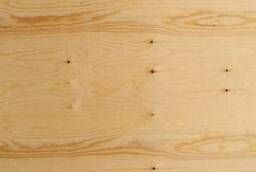 Tver birch plywood FK 1525x1525x12
