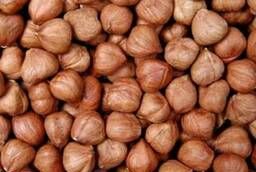 Hazelnuts in bulk in Simferopol