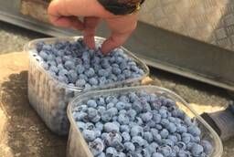 Голубика Свежая Blueberry