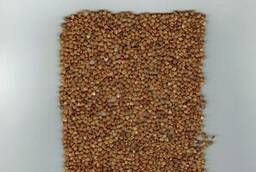 Buckwheat groats (buckwheat)