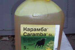 Caramba fungicide for plants