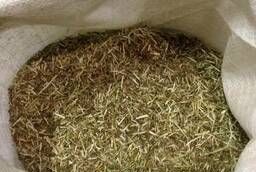 Clover red grass wholesale (order conditions in the description)