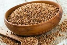 Buckwheat groats 1 grade from the manufacturer