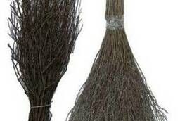 Siberian broom