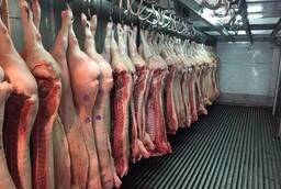 Wholesale pork meat in half carcasses of the 1st category chilled  frozen