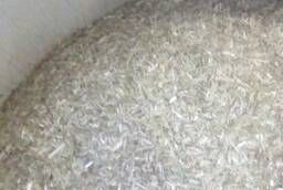 Sowing oats (milk ripeness) wholesale (see description)