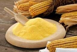 We sell corn flour in bulk. assortment of fine grinding