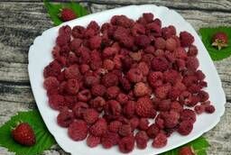 Dried raspberries. Grown in Russia. Wholesale