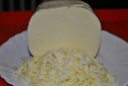 Сыр Моцарелла оптом от производителя