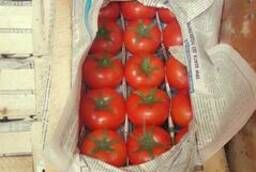 Tomatoes Tomatoes Uzbekistan Lomiya 1955