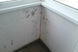 Removal of mold and mildew