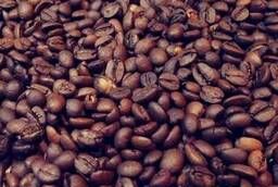 Grain coffee Monsoon Malabar.