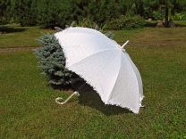 Зонт - трость свадебный N3 Молочный с гипюром