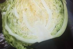 White cabbage wholesale 1st grade from a farmer