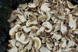 Dried porcini mushroom