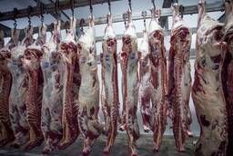 Beef half carcass 1 kat, chilled in bulk from the manufacturer