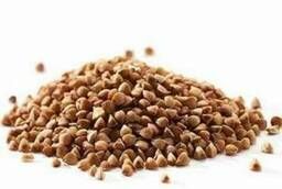 Buckwheat groats (buckwheat) from a warehouse in Moscow. First grade